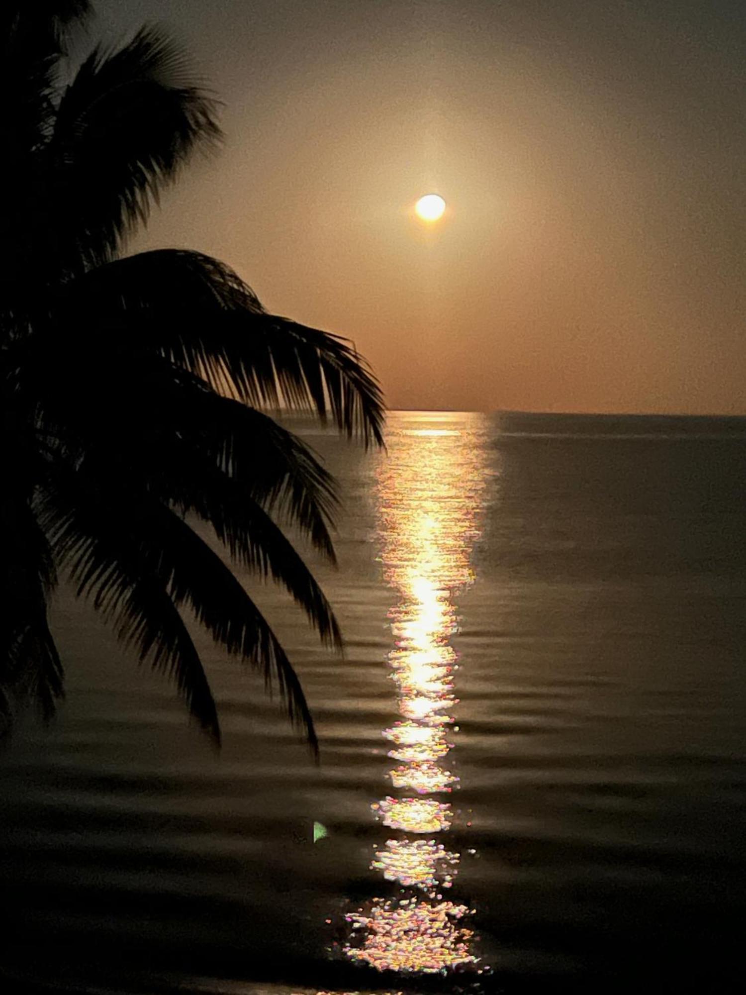Maya Beach Bella Sway Belizeヴィラ エクステリア 写真
